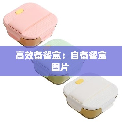 高效备餐盒：自备餐盒图片 