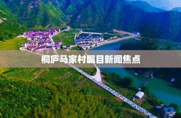 桐庐马家村瞩目新闻焦点