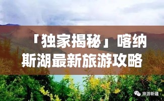 「独家揭秘」喀纳斯湖最新旅游攻略，探索神秘湖景，尽享绝佳体验