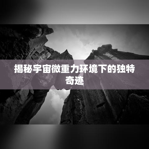 蹑蹻檐簦 第2页