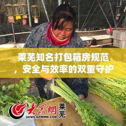 莱芜知名打包箱房规范，安全与效率的双重守护保障