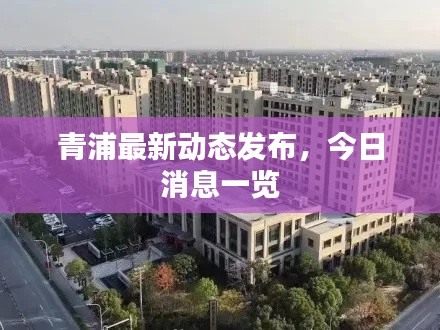 青浦最新动态发布，今日消息一览