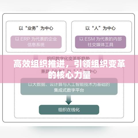 高效组织推进，引领组织变革的核心力量