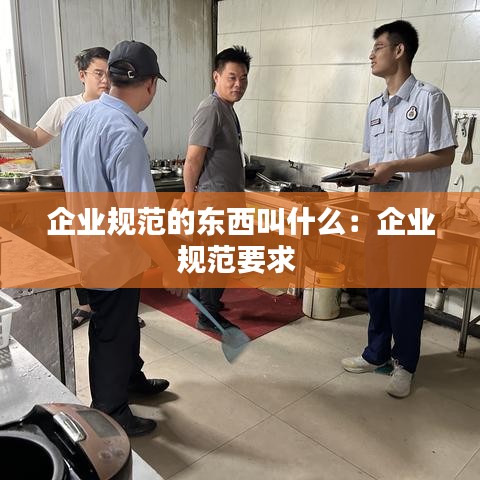 企业规范的东西叫什么：企业规范要求 