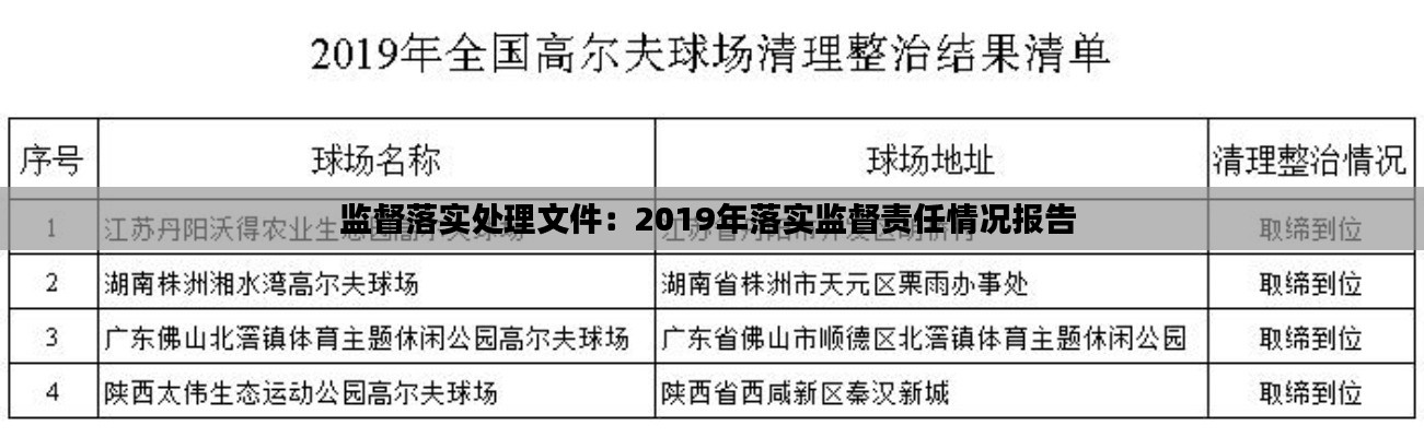 监督落实处理文件：2019年落实监督责任情况报告 