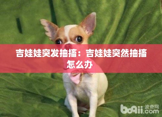 芒屩布衣 第2页