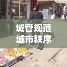 城管规范城市秩序的通知：城管市容秩序 