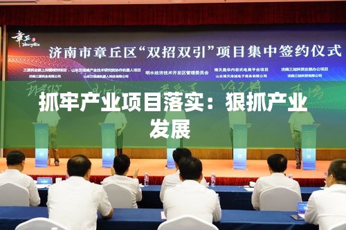抓牢产业项目落实：狠抓产业发展 