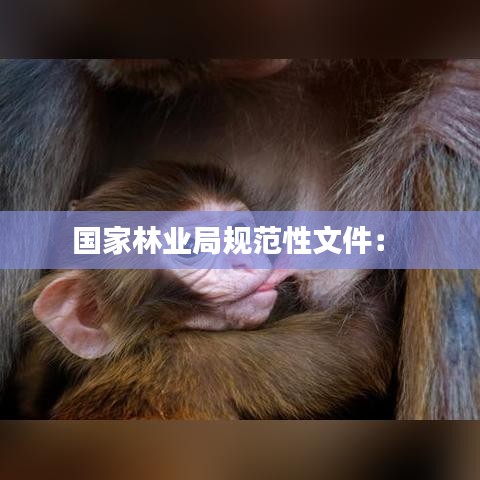 国家林业局规范性文件： 