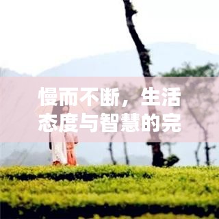 慢而不断，生活态度与智慧的完美融合