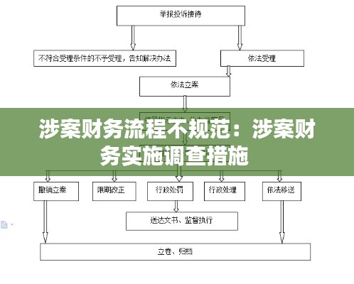 涉案财务流程不规范：涉案财务实施调查措施 
