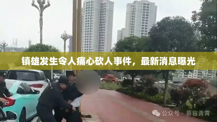 镇雄发生令人痛心砍人事件，最新消息曝光