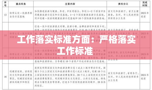 工作落实标准方面：严格落实工作标准 