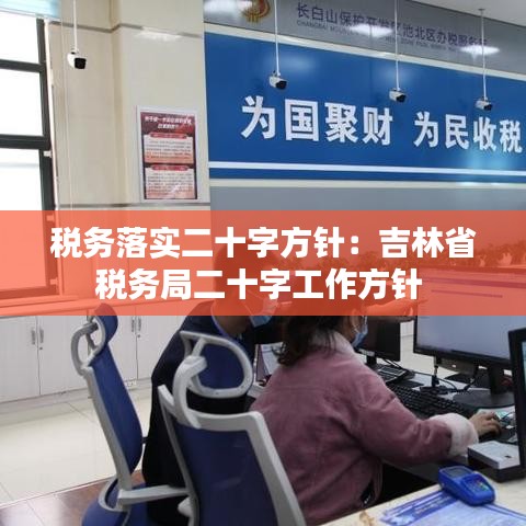 税务落实二十字方针：吉林省税务局二十字工作方针 
