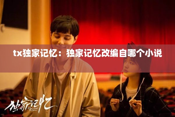 tx独家记忆：独家记忆改编自哪个小说 