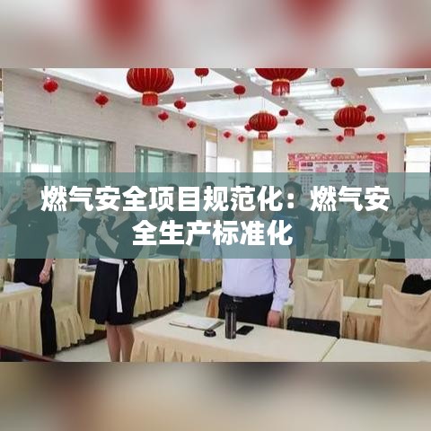 燃气安全项目规范化：燃气安全生产标准化 