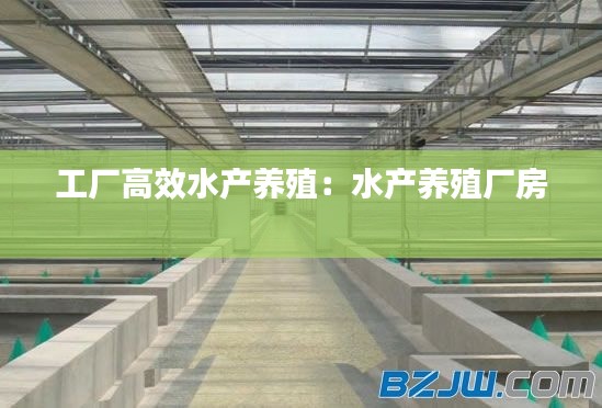 工厂高效水产养殖：水产养殖厂房 