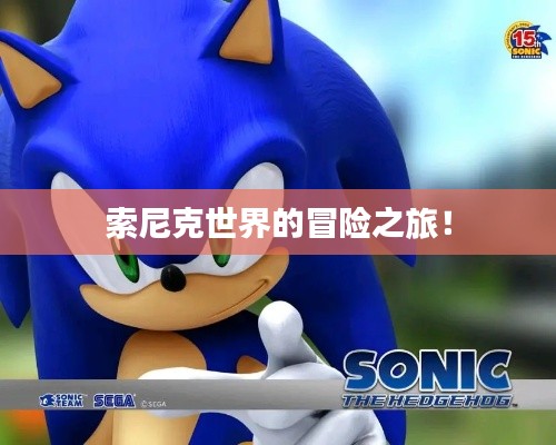 索尼克世界的冒险之旅！