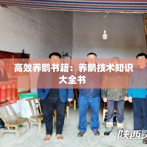 高效养鹅书籍：养鹅技术知识大全书 