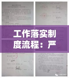 工作落实制度流程：严格落实工作流程 