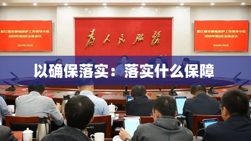 以确保落实：落实什么保障 