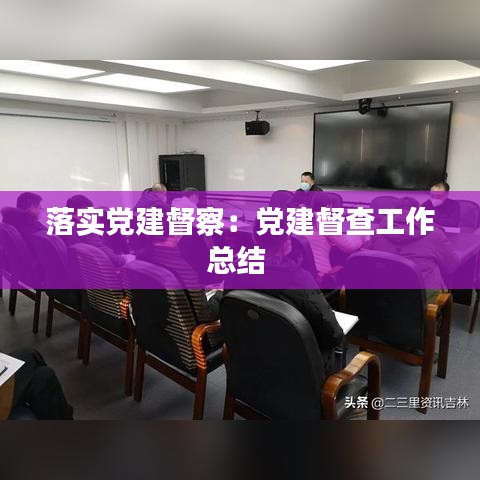 落实党建督察：党建督查工作总结 