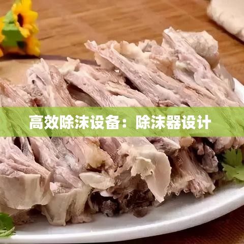 高效除沫设备：除沫器设计 