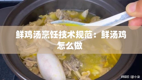鲜鸡汤烹饪技术规范：鲜汤鸡怎么做 