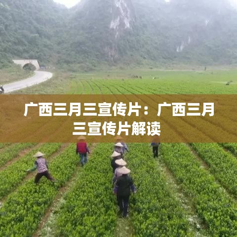 广西三月三宣传片：广西三月三宣传片解读 