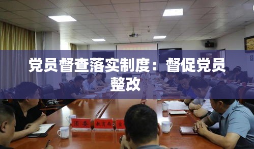 党员督查落实制度：督促党员整改 
