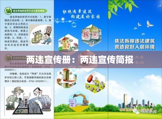 两违宣传册：两违宣传简报 