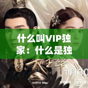 什么叫VIP独家：什么是独家授权 