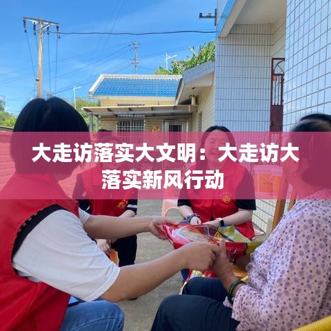 大走访落实大文明：大走访大落实新风行动 