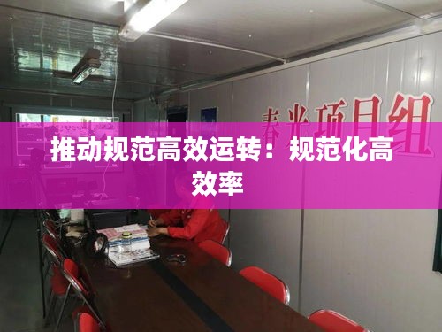 推动规范高效运转：规范化高效率 