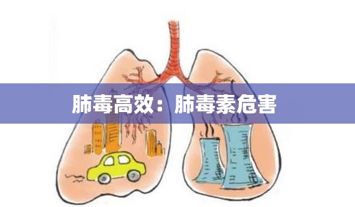 肺毒高效：肺毒素危害 