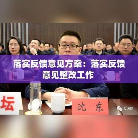 落实反馈意见方案：落实反馈意见整改工作 