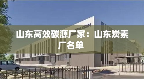山东高效碳源厂家：山东炭素厂名单 