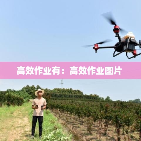 高效作业有：高效作业图片 