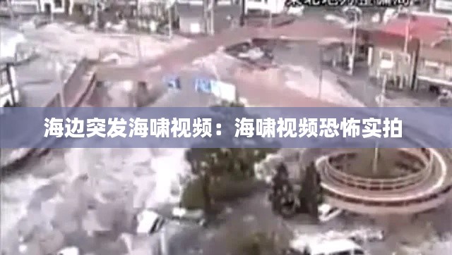 海边突发海啸视频：海啸视频恐怖实拍 