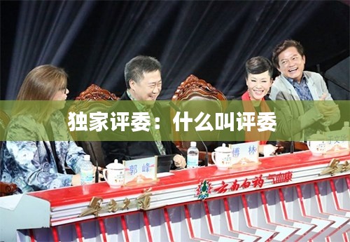 独家评委：什么叫评委 