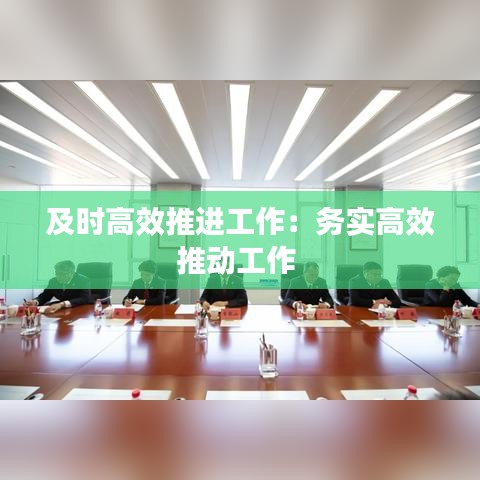 及时高效推进工作：务实高效推动工作 