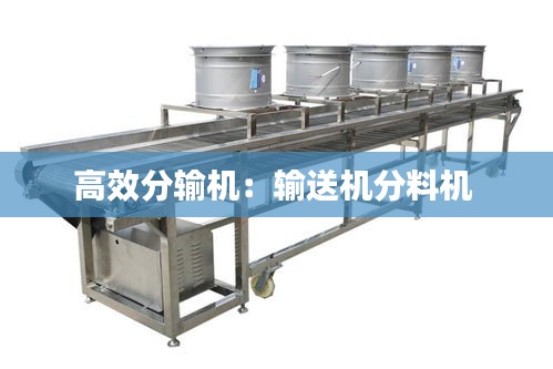 高效分输机：输送机分料机 