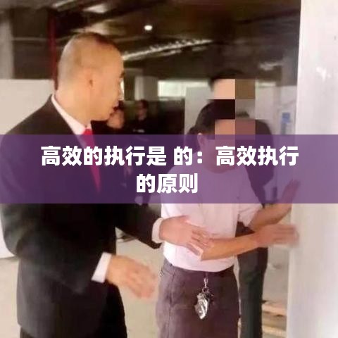 高效的执行是 的：高效执行的原则 
