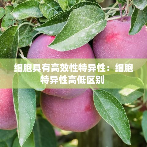 细胞具有高效性特异性：细胞特异性高低区别 