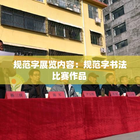 规范字展览内容：规范字书法比赛作品 