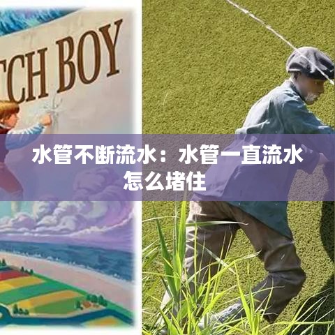 水管不断流水：水管一直流水怎么堵住 