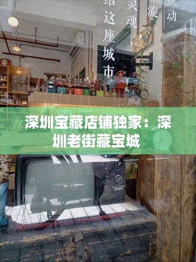 深圳宝藏店铺独家：深圳老街藏宝城 