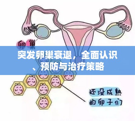 突发卵巢衰退，全面认识、预防与治疗策略