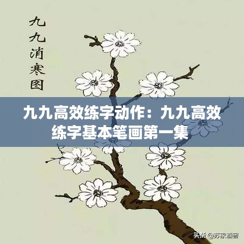 九九高效练字动作：九九高效练字基本笔画第一集 