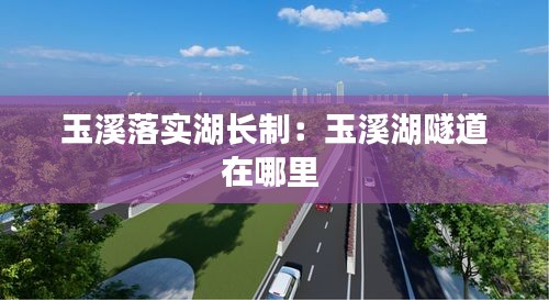 玉溪落实湖长制：玉溪湖隧道在哪里 